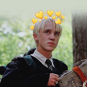 Meet your Posher, Loren